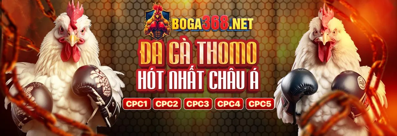 Chính sách bảo mật 2899u nhà cái